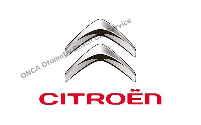 Citroen Araç Sahipleri İçin Önemli Bakım Adımları